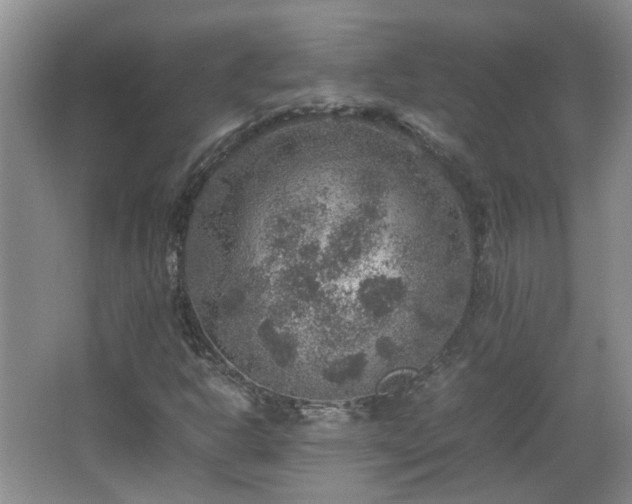 X0000067461302200604101122