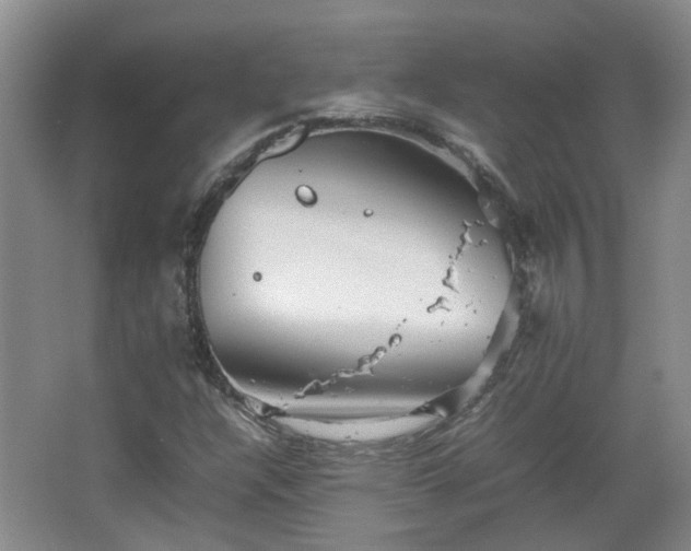 X0000067461304200604101122