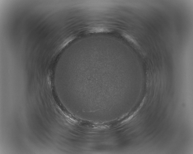 X0000067461305200604101122