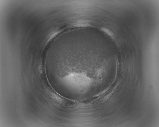 X0000067461306200604101122