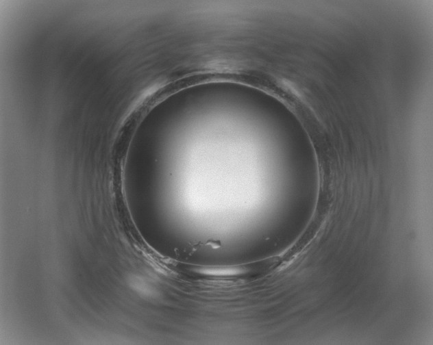 X0000067461307200604101122