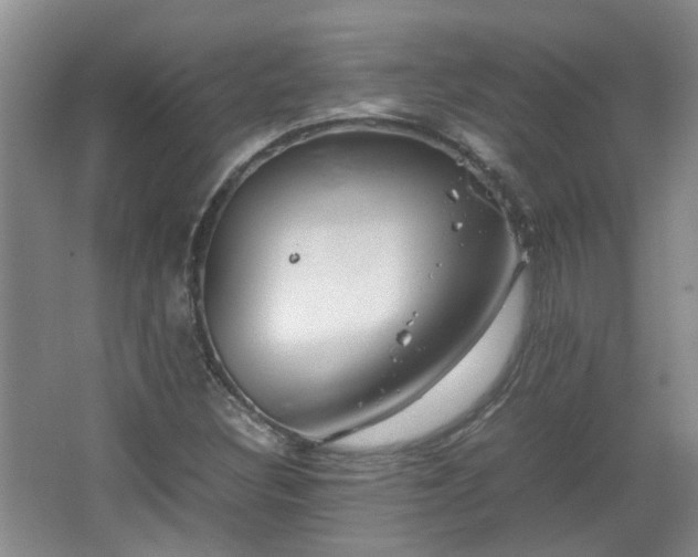 X0000067461308200604101122