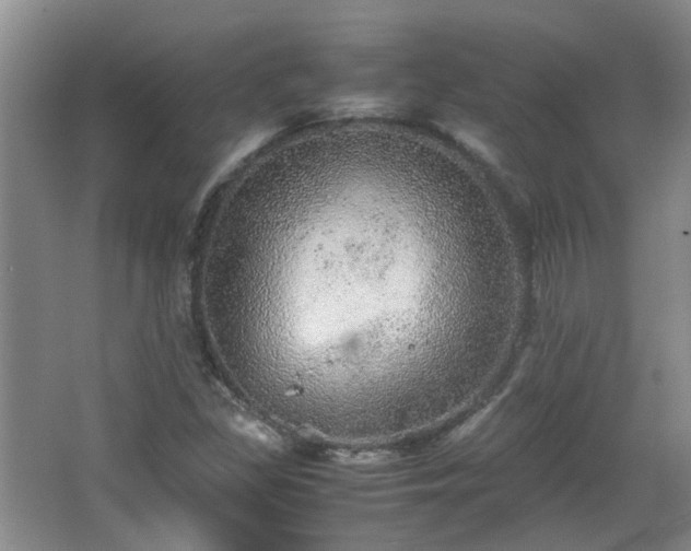 X0000067461309200604101122