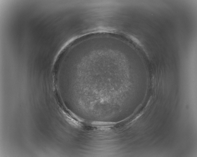 X0000067461310200604101122