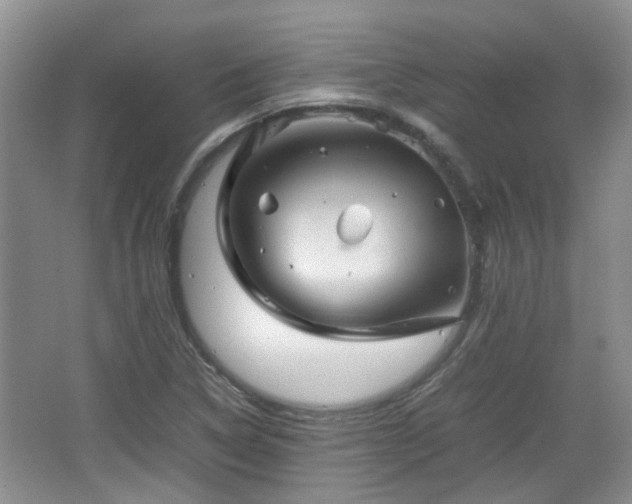 X0000067461314200604101122