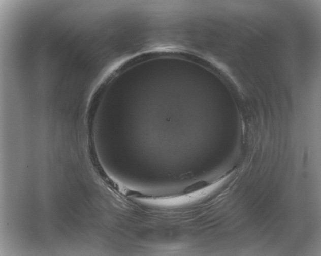 X0000067461319200604101123