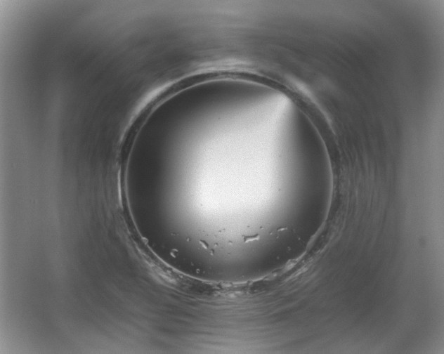 X0000067461320200604101123