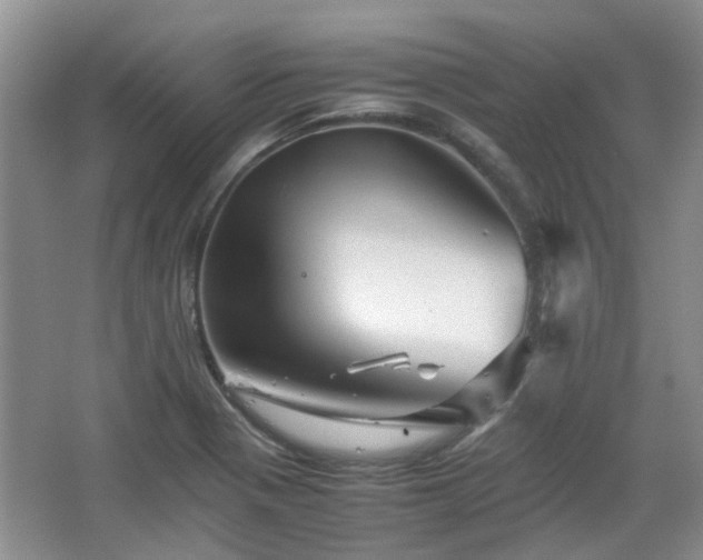 X0000067461321200604101123