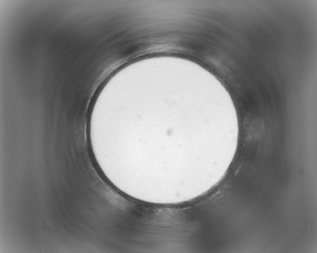 X0000067461322200604101123