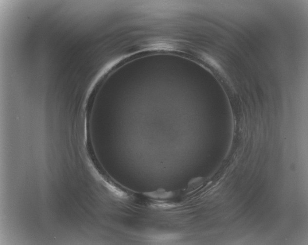 X0000067461323200604101123