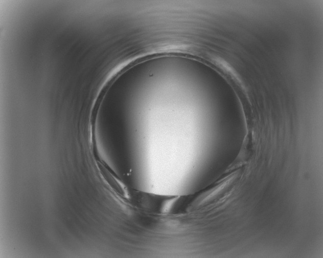 X0000067461324200604101123