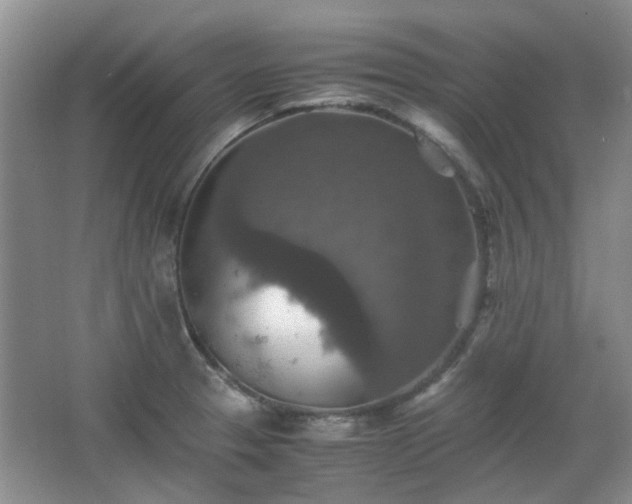 X0000067461329200604101123