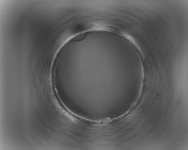 X0000067461331200604101123