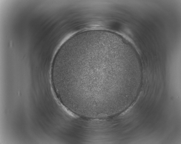 X0000067461333200604101123