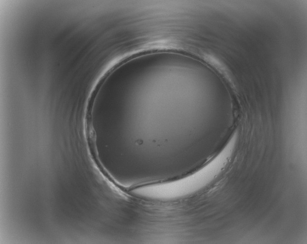 X0000067461334200604101123