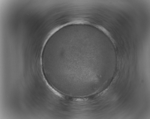 X0000067461335200604101123