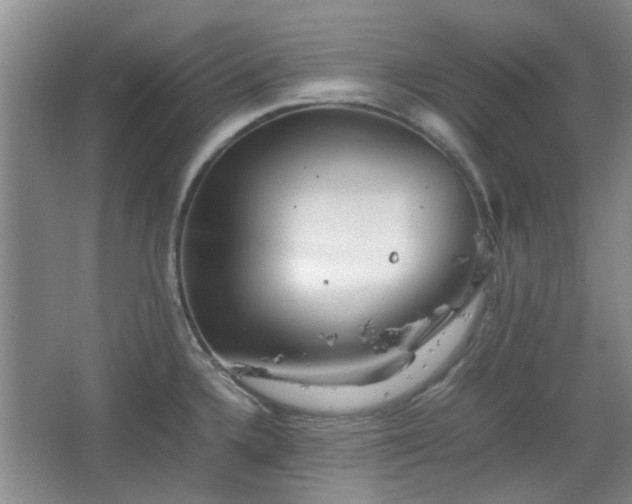 X0000067461336200604101123