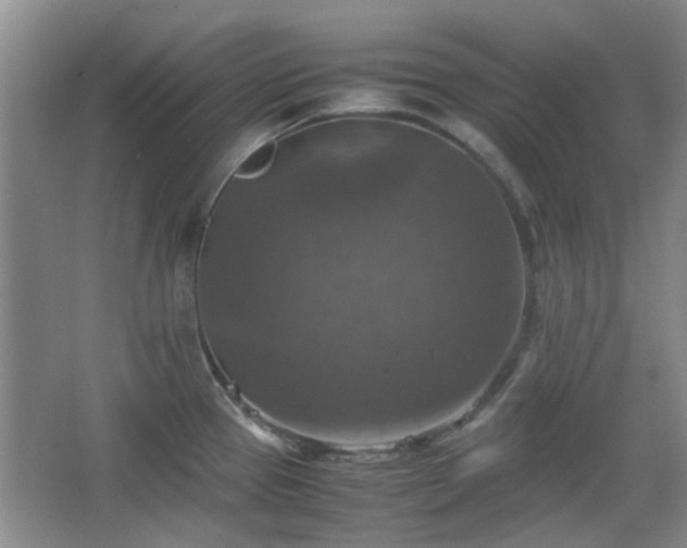 X0000067461337200604101123