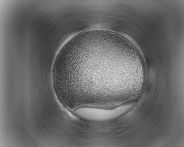 X0000067461341200604101123