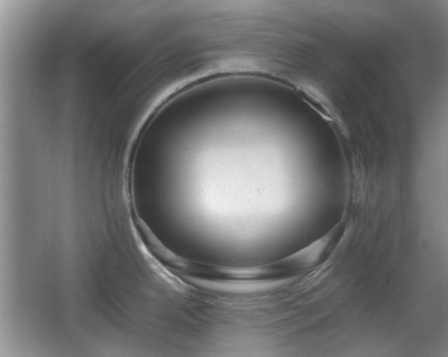 X0000067461342200604101123