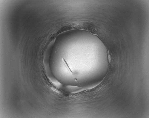 X0000067461345200604101122