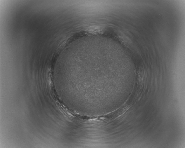 X0000067461346200604101122