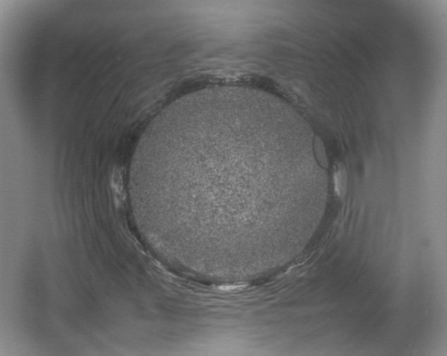 X0000067461347200604101122