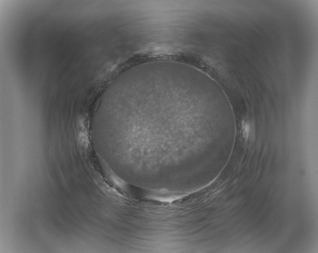 X0000067461348200604101122