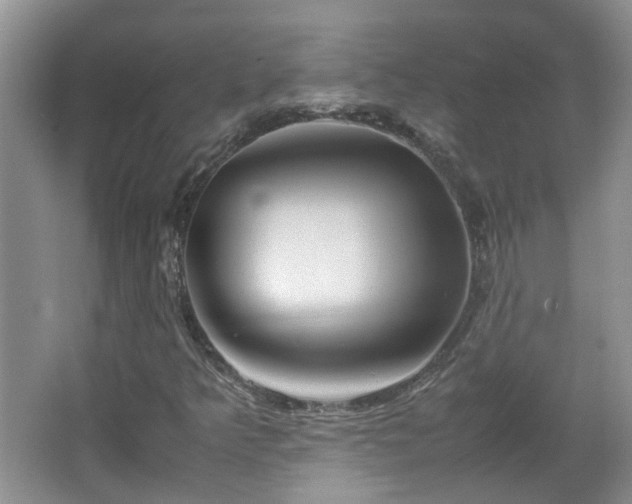 X0000067461349200604101122