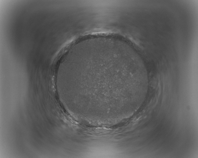 X0000067461351200604101122