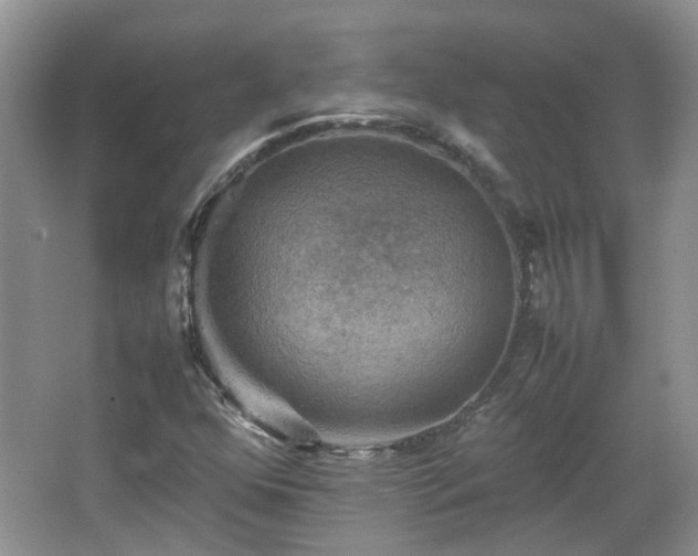 X0000067461352200604101122