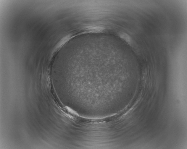 X0000067461354200604101122