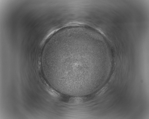 X0000067461355200604101122