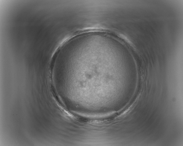 X0000067461357200604101122