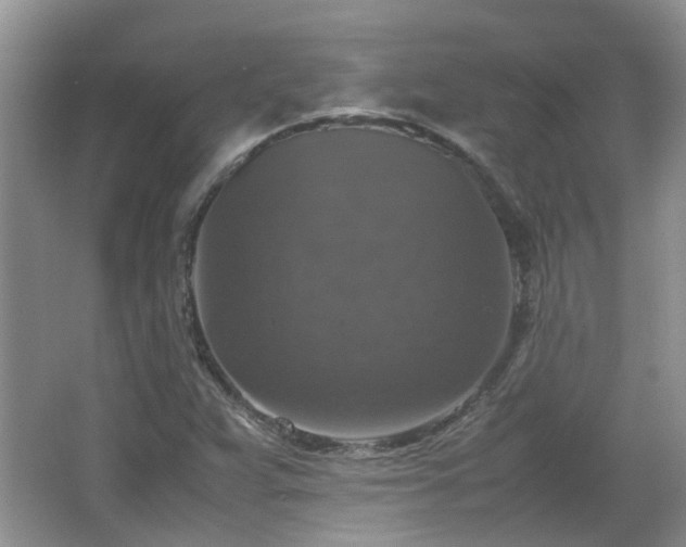 X0000067461359200604101122