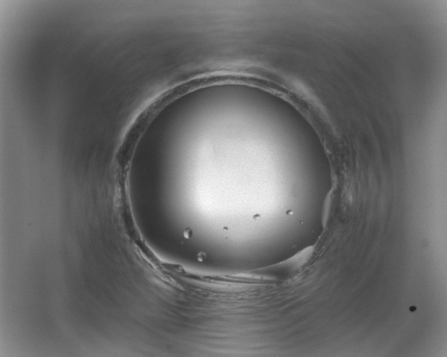 X0000067461360200604101122