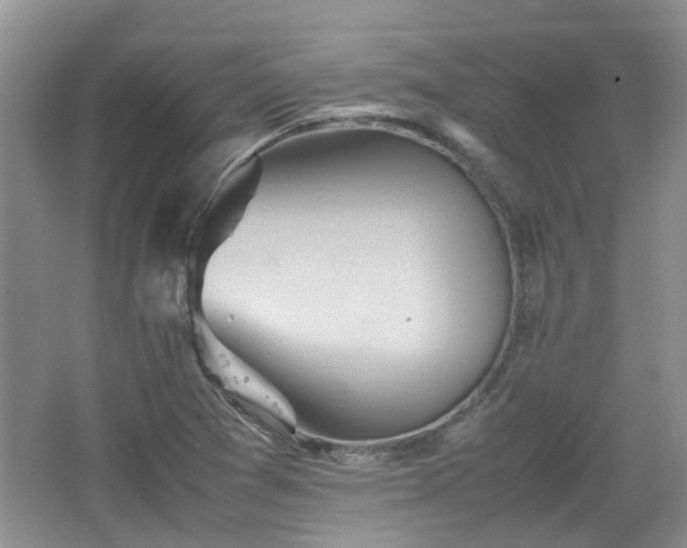 X0000067461361200604101122