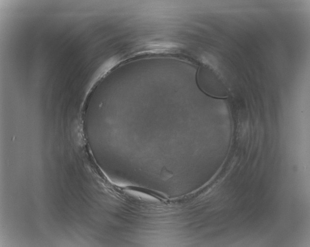 X0000067461362200604101122