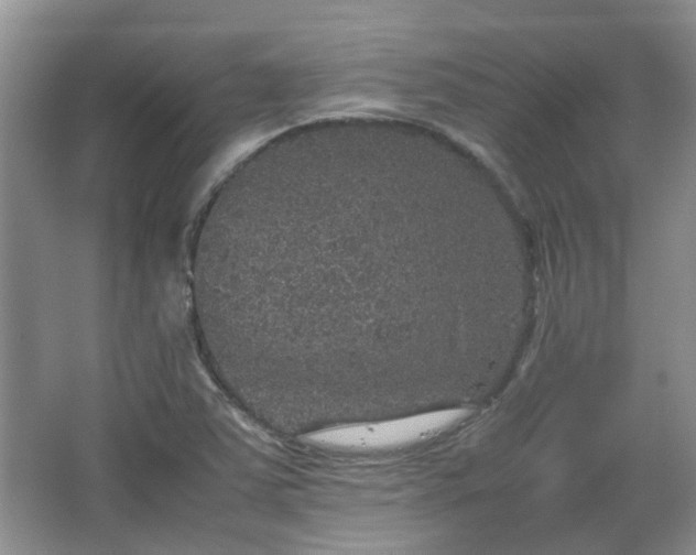 X0000067461363200604101122