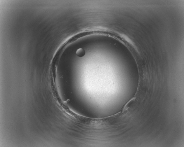 X0000067461364200604101122