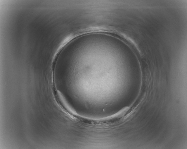 X0000067461365200604101122