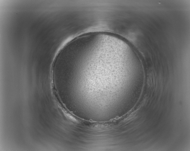 X0000067461366200604101122