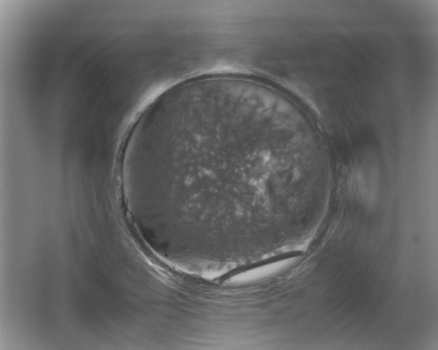 X0000067461367200604101122