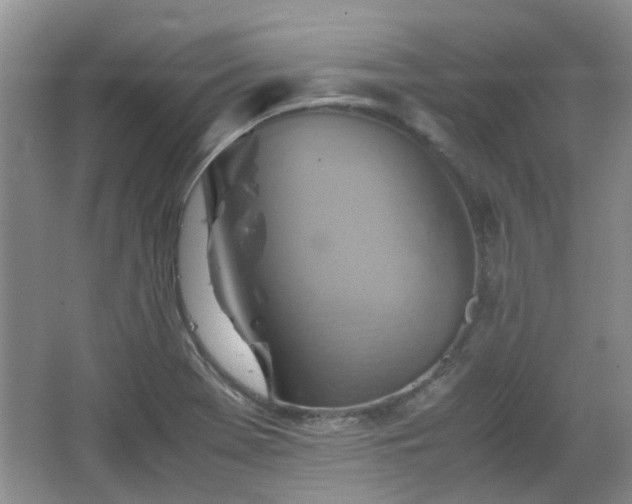 X0000067461369200604101122