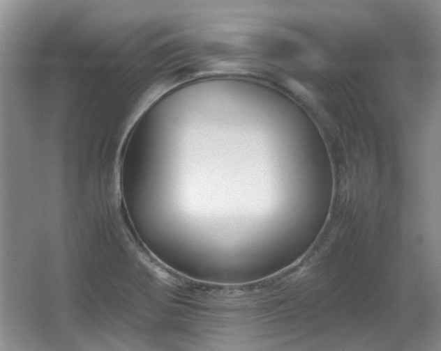 X0000067461370200604101122