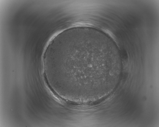 X0000067461371200604101122