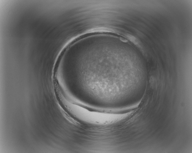 X0000067461372200604101122