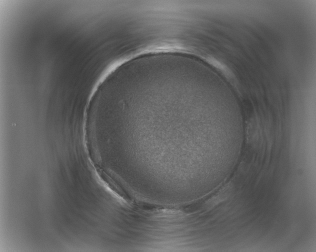 X0000067461374200604101122