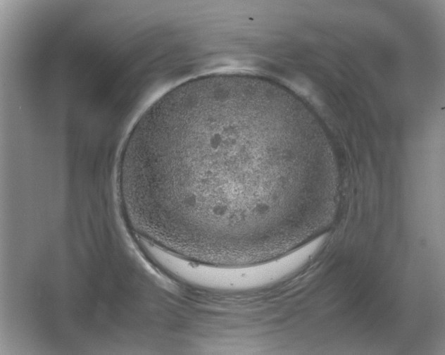 X0000067461375200604101122