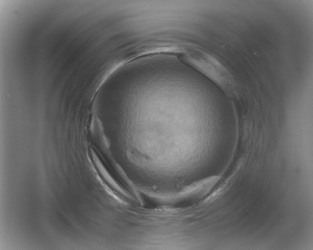 X0000067461377200604101122